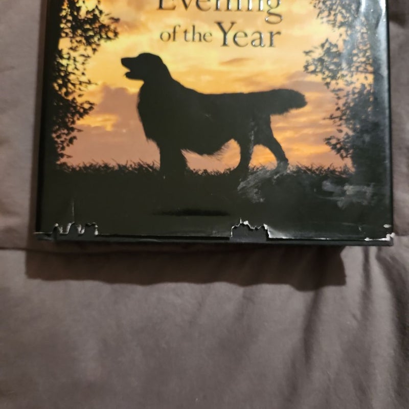 The Darkest Evening of the Year
