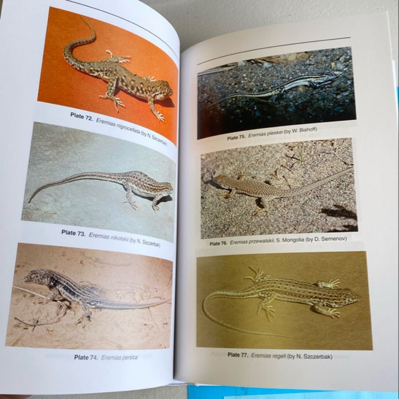 Guide to the Reptiles of the Eastern Palearctic