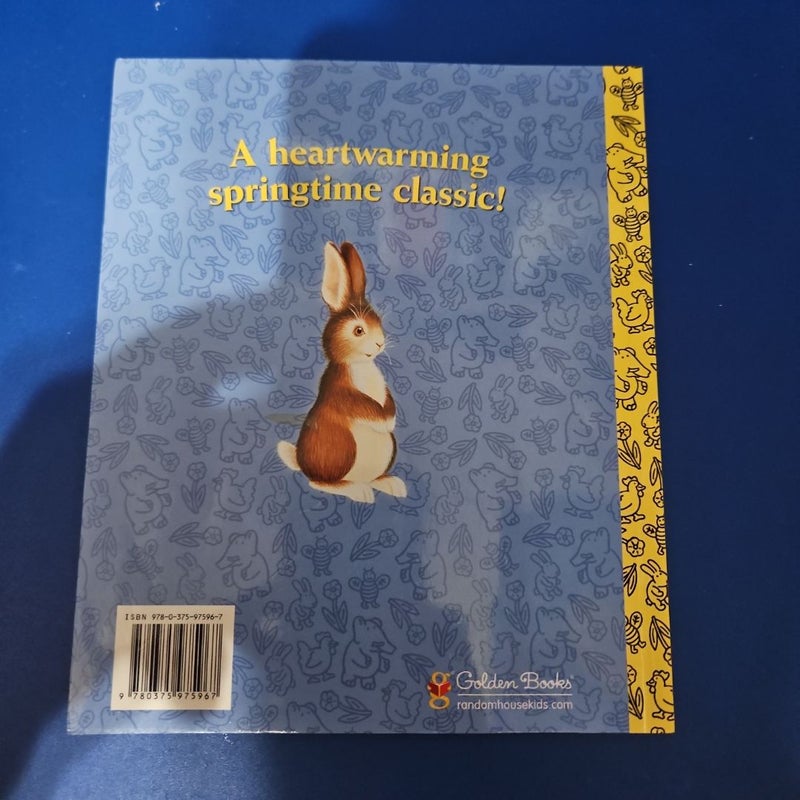 Home For A Bunny