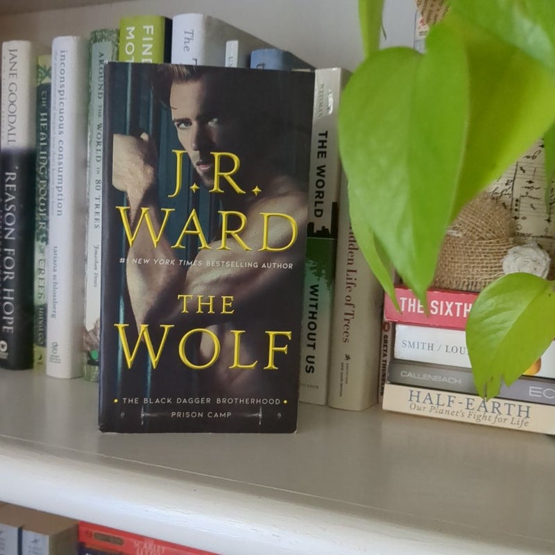 The Wolf
