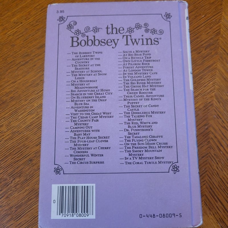 The Bobbsey Twins Search In The Great City