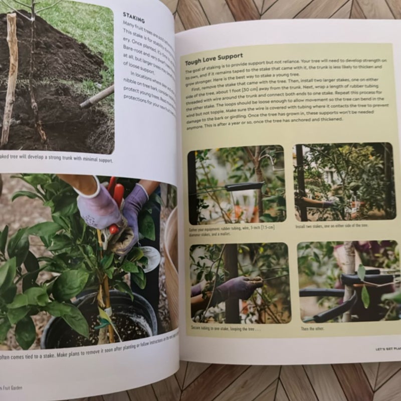Grow Your Own Mini Fruit Garden