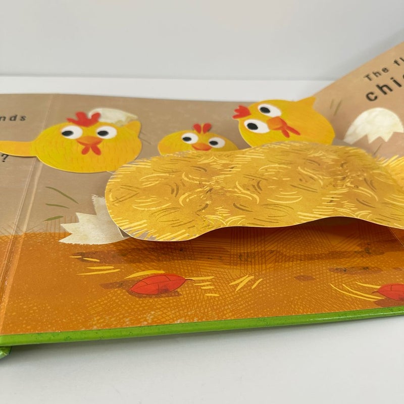 Little Snappers Cheep Cheep Pop-Up Fun