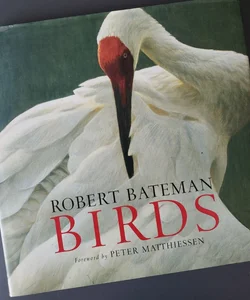 Birds 1st Edition 