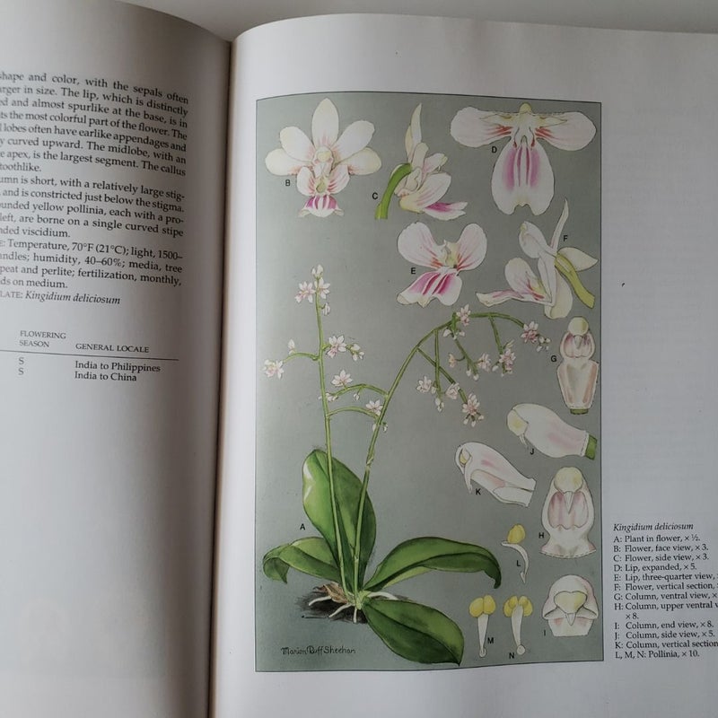 An Illustrated Survey of Orchid Genera