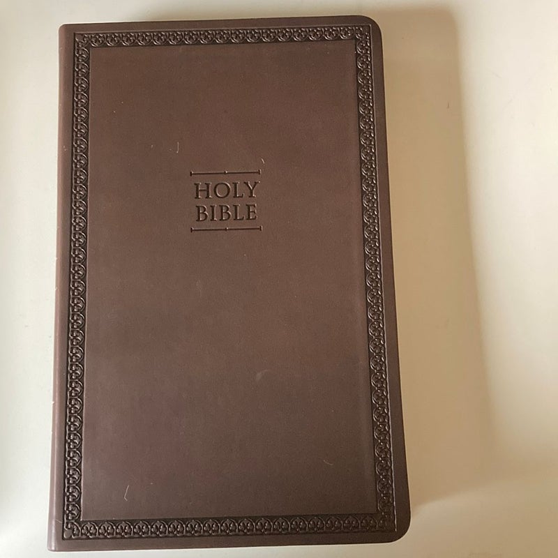 NIV Value Thinline Bible [Brown]