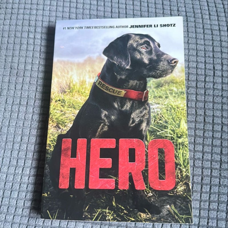 Hero