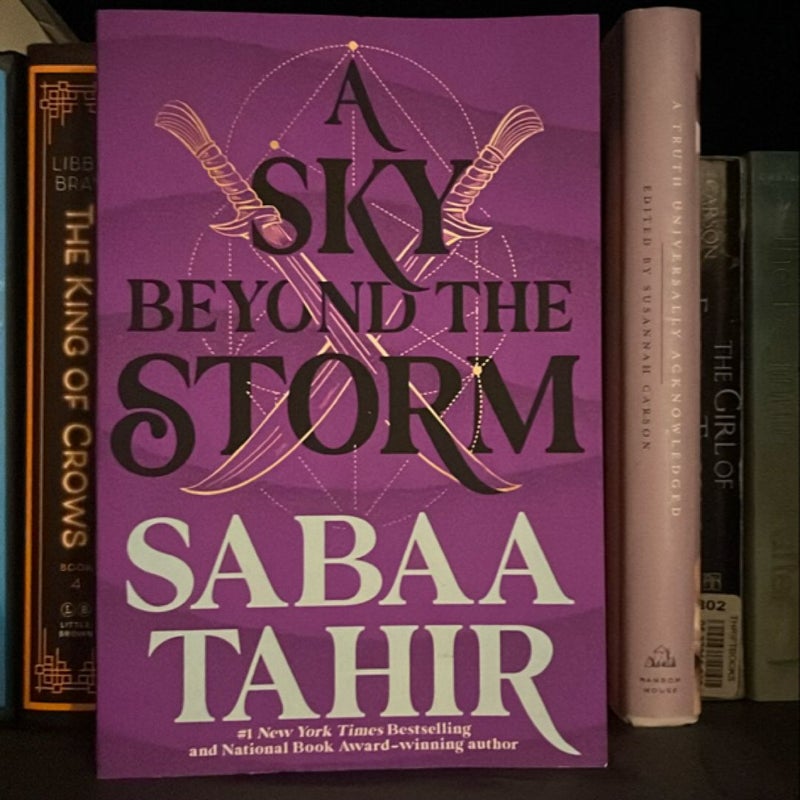 A Sky Beyond the Storm