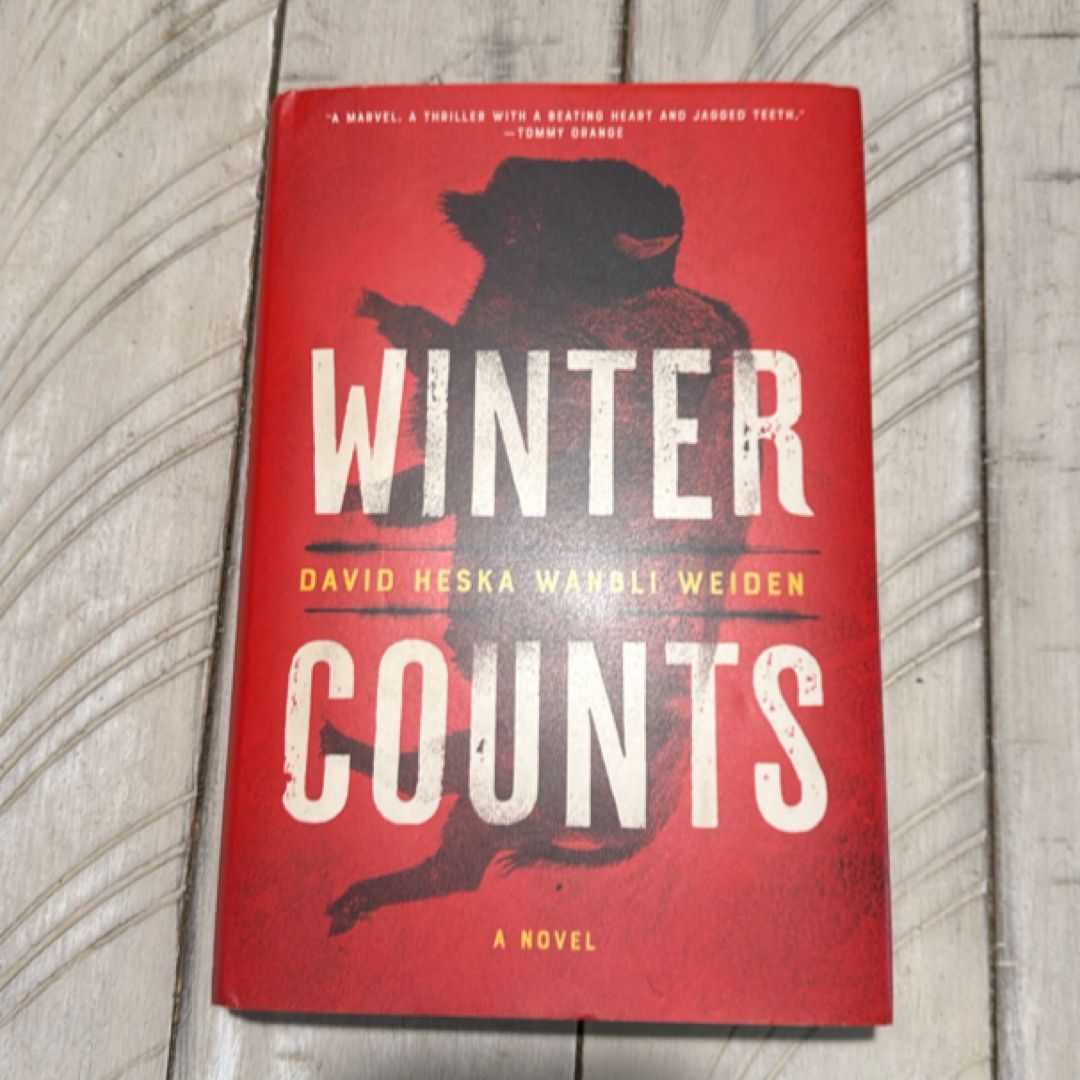 Winter Counts