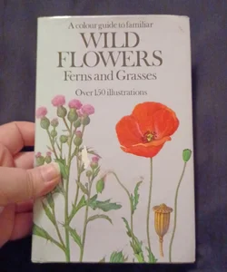 Wild flowers