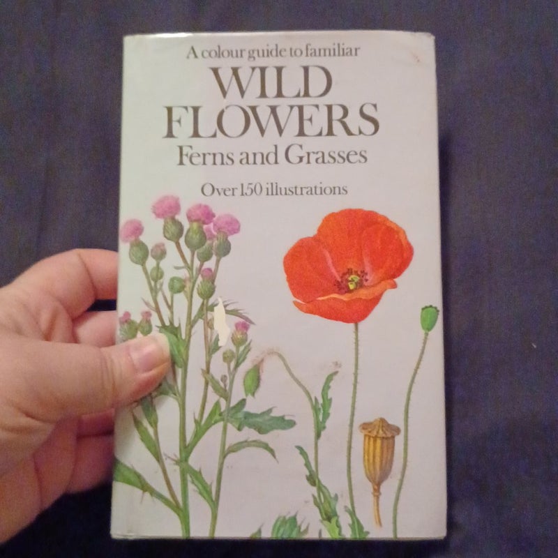 Wild flowers