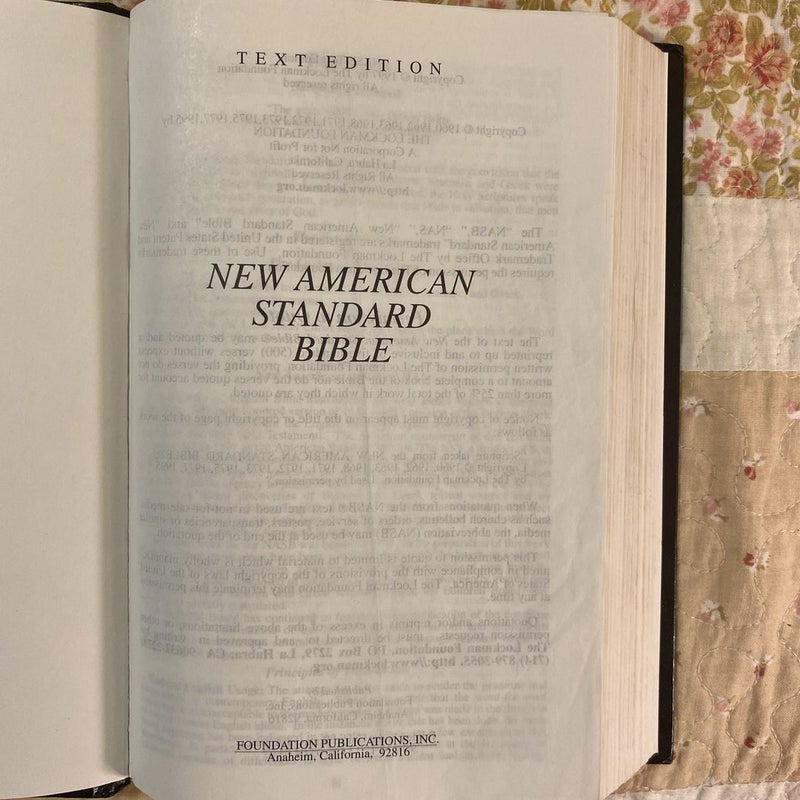 New American Standard Bible 