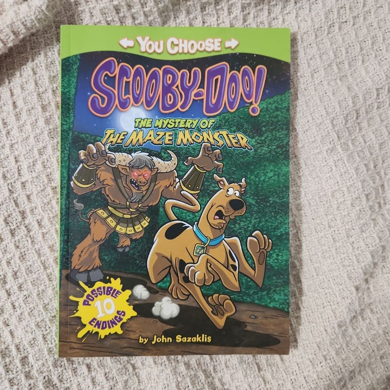 The Mystery of the Maze Monster