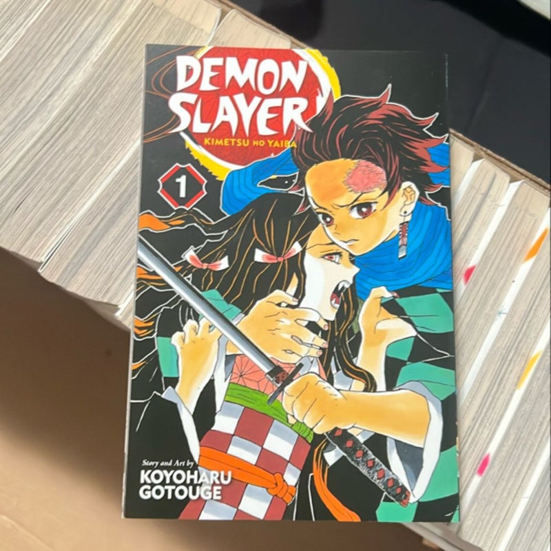 Demon Slayer: Kimetsu No Yaiba, Vol. 1