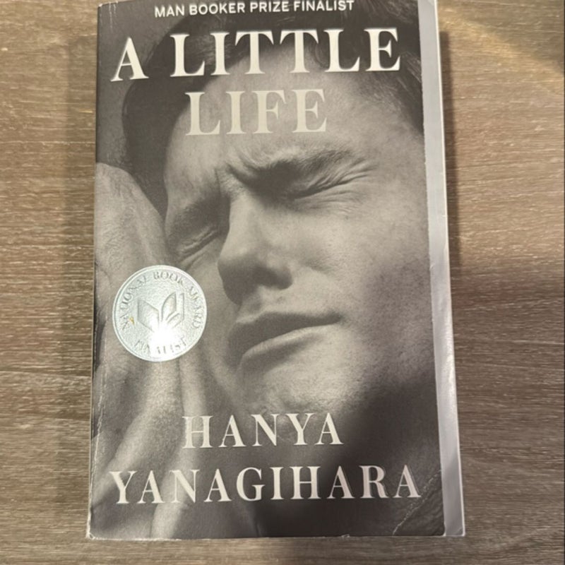 A Little Life