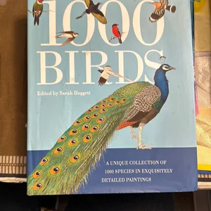 1,000 Birds