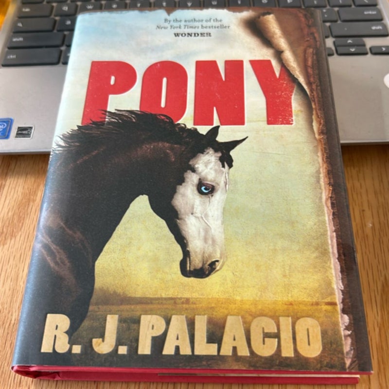 Pony