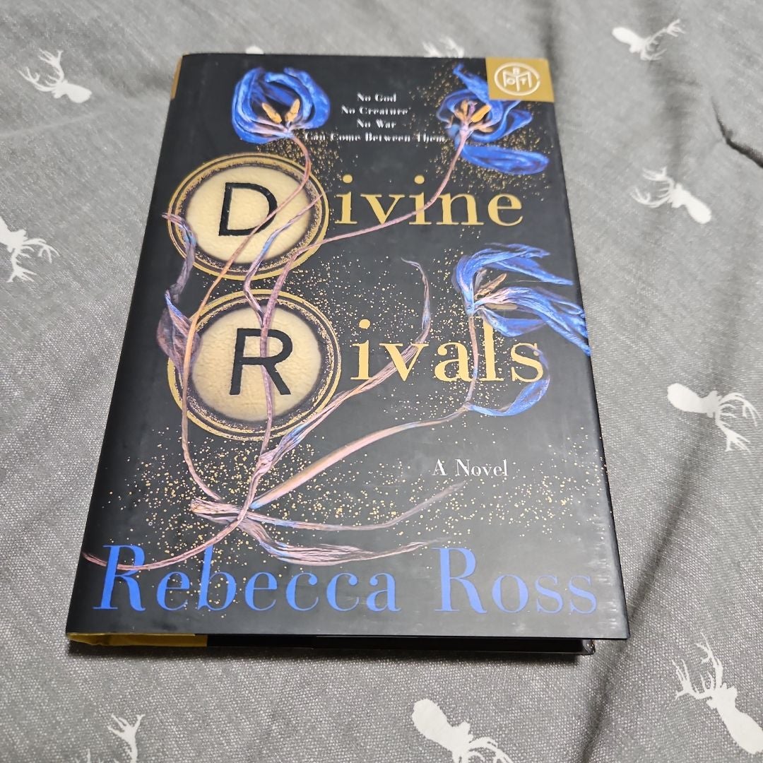 Divine Rivals and Ruthless Vows Fairyloot editions by