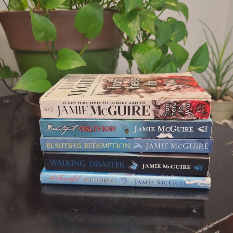 Jaime McGuire bundle