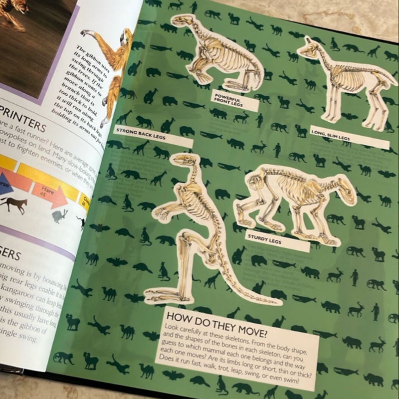 Mammals