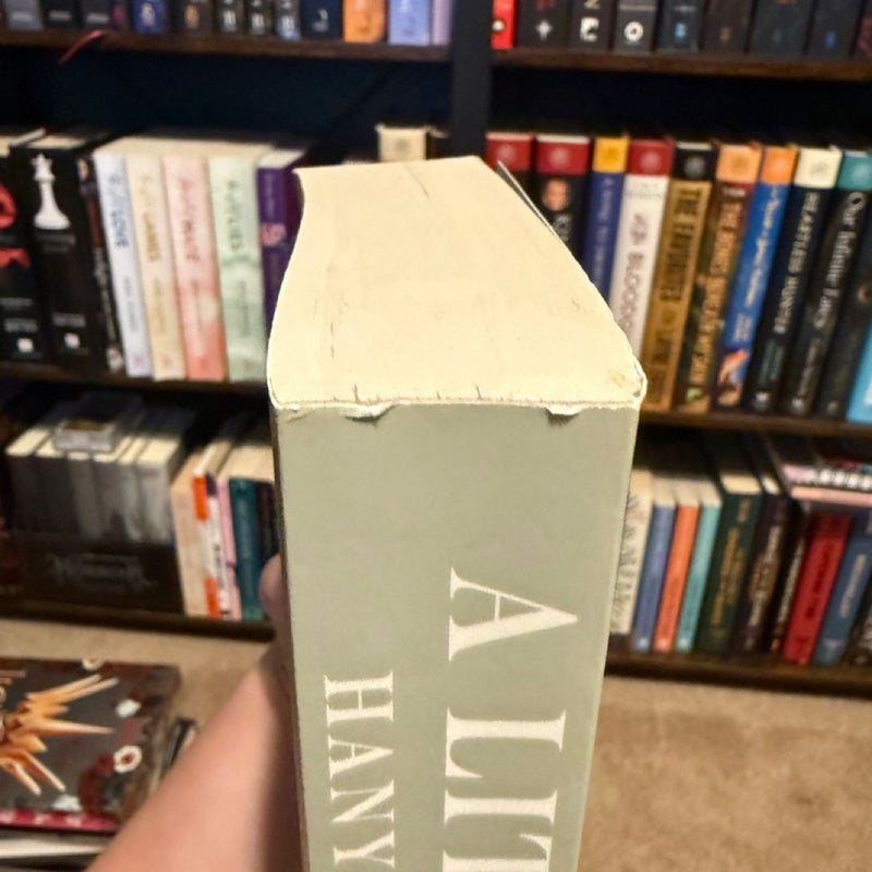 A Little Life