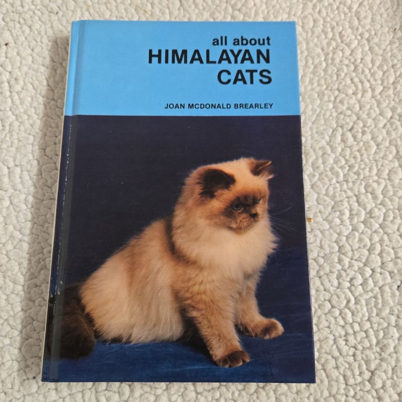 All about Himalayan Cats