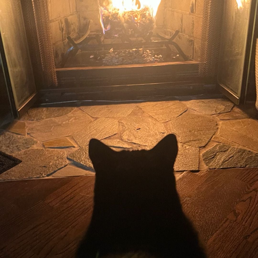 Barty Reads