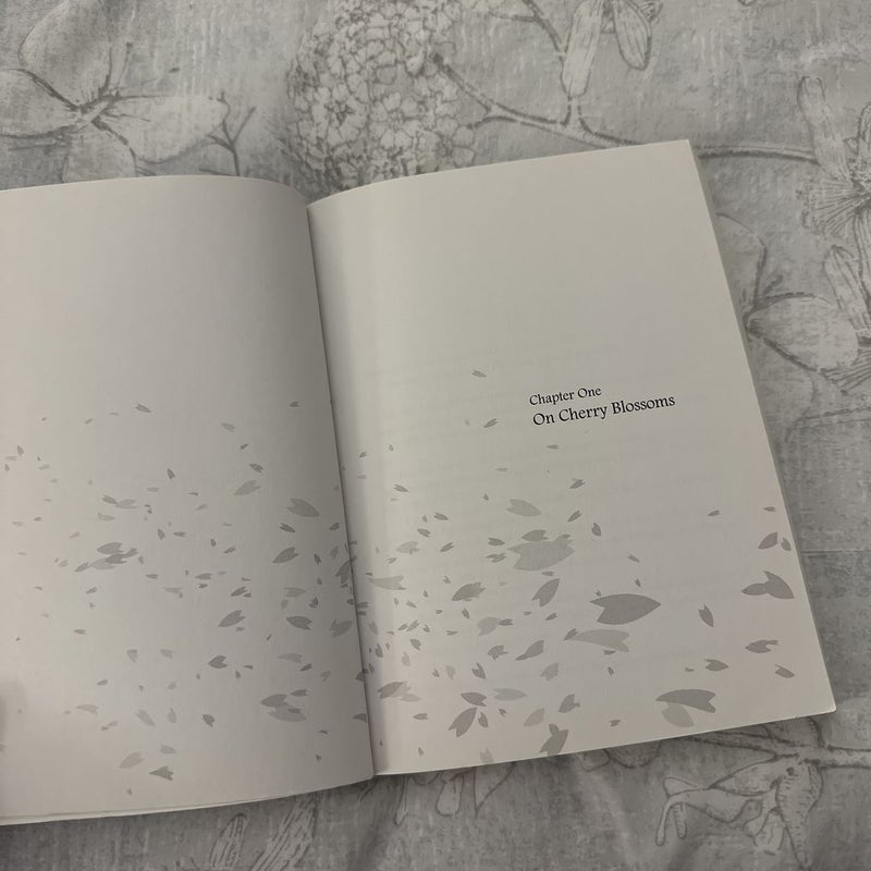 5 Centimeters per Second: One More Side