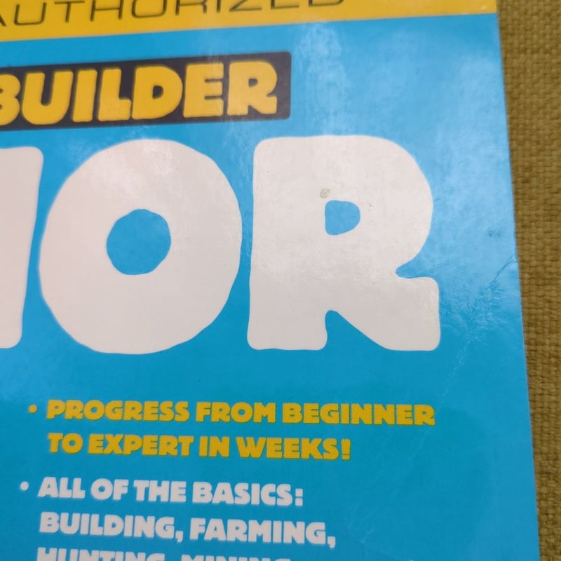 Minecraft Secrets: Master Builder Junior