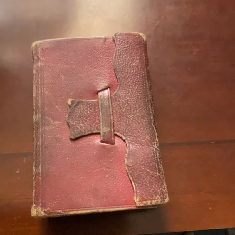 Pocket Bible