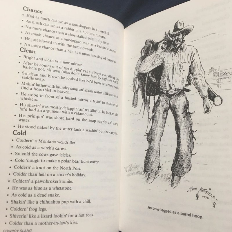 Cowboy Slang by Edgar Potter