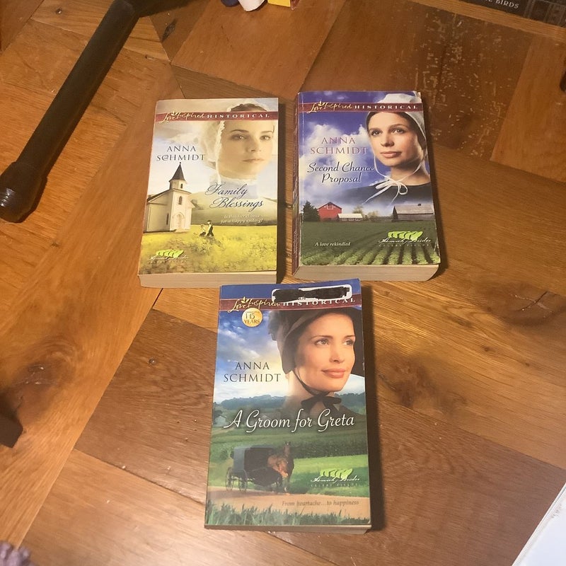 3 Anna Schmidt Novels