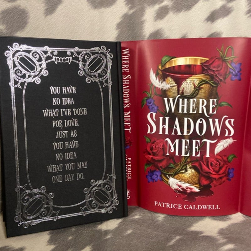 Where Shadows Meet (Fairyloot)