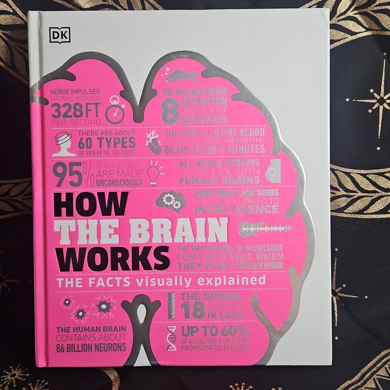 How the brain works by dk hardcover pangobooks