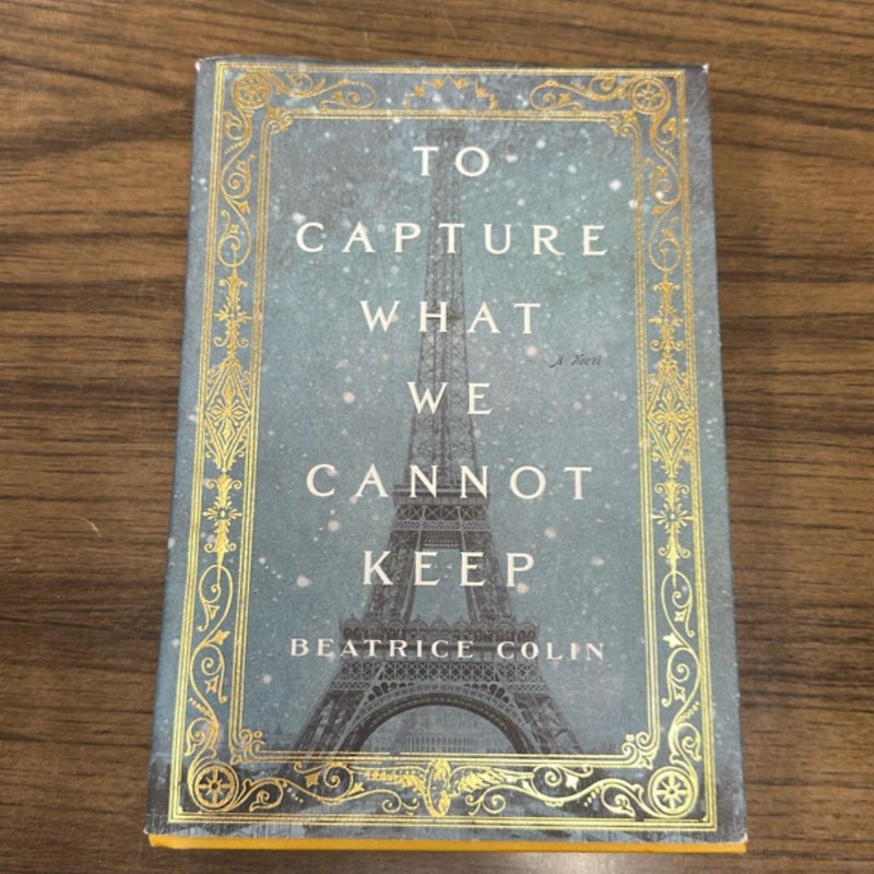 To Capture What We Cannot Keep