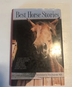 Best Horse Stories