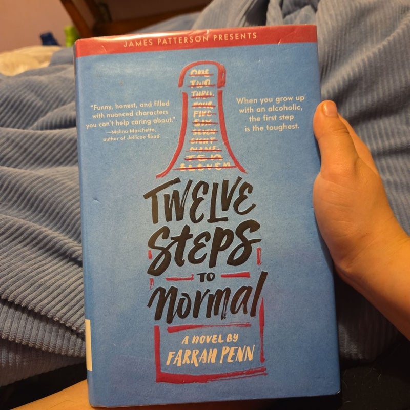 Twelve Steps To Normal