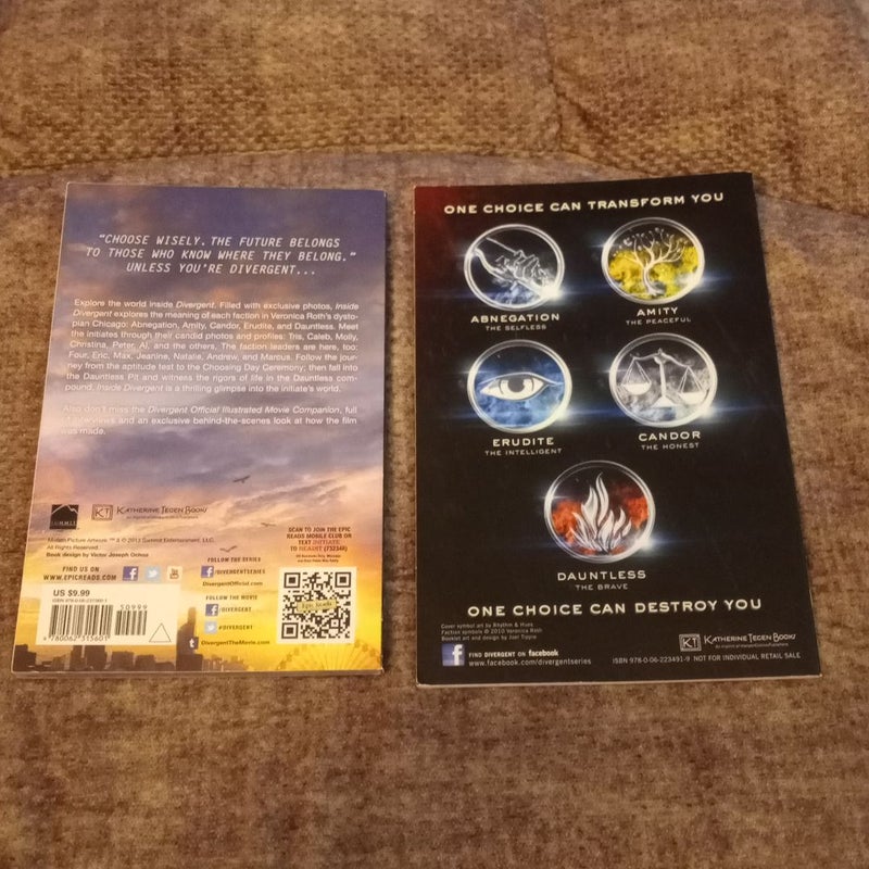 Inside Divergent: the Initiate's World