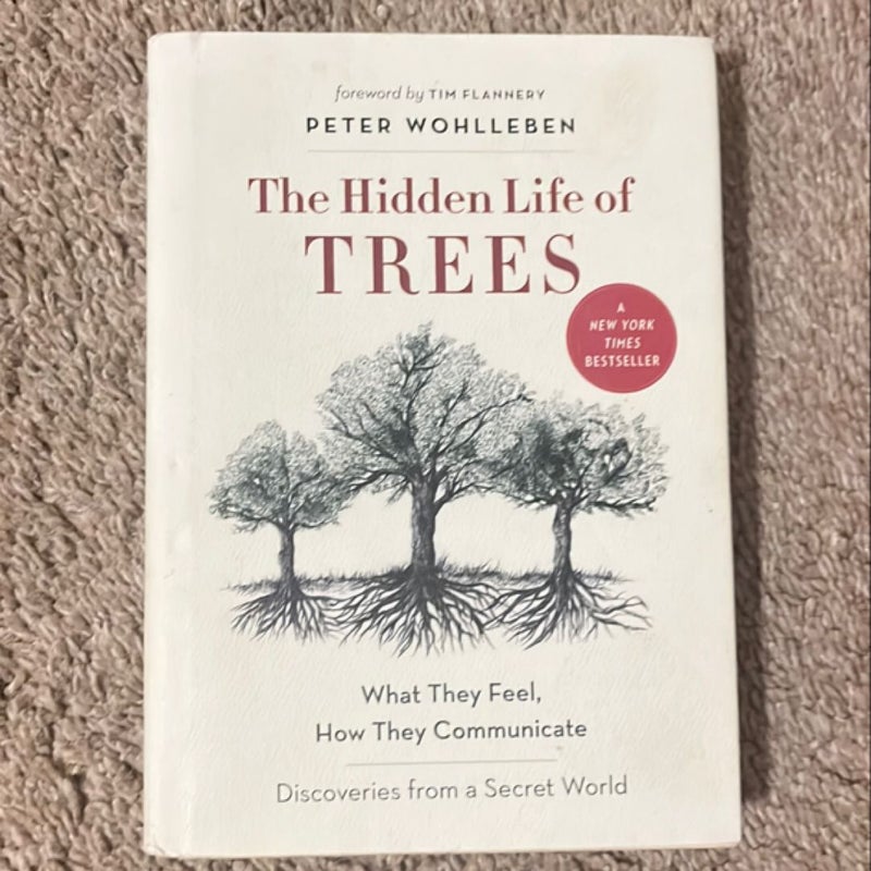 The Hidden Life of Trees