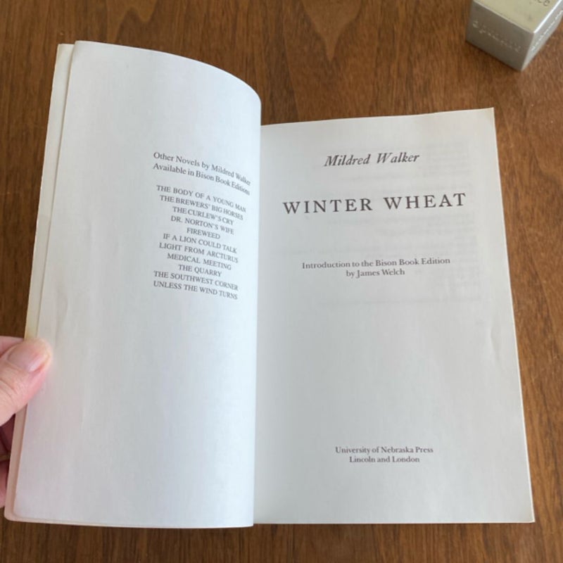 Winter Wheat