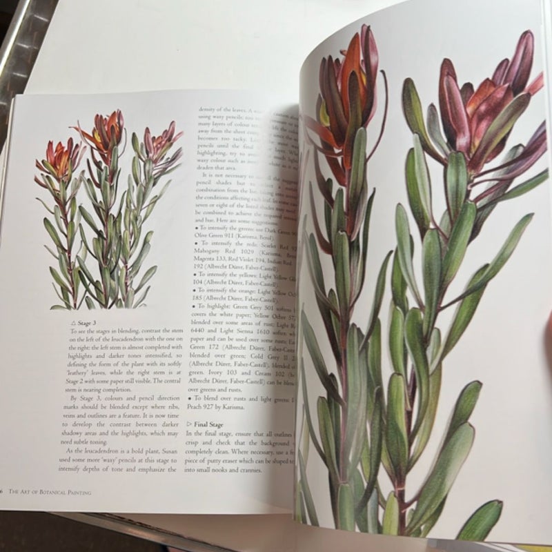 The Art of Botanical Painting