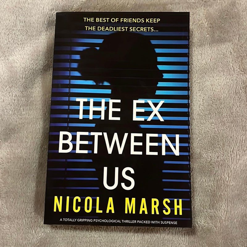 The Ex Between Us