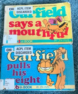 Two Garfield comics books 