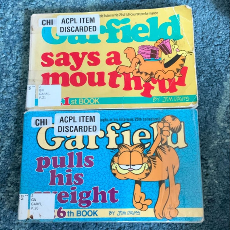 Two Garfield comics books 
