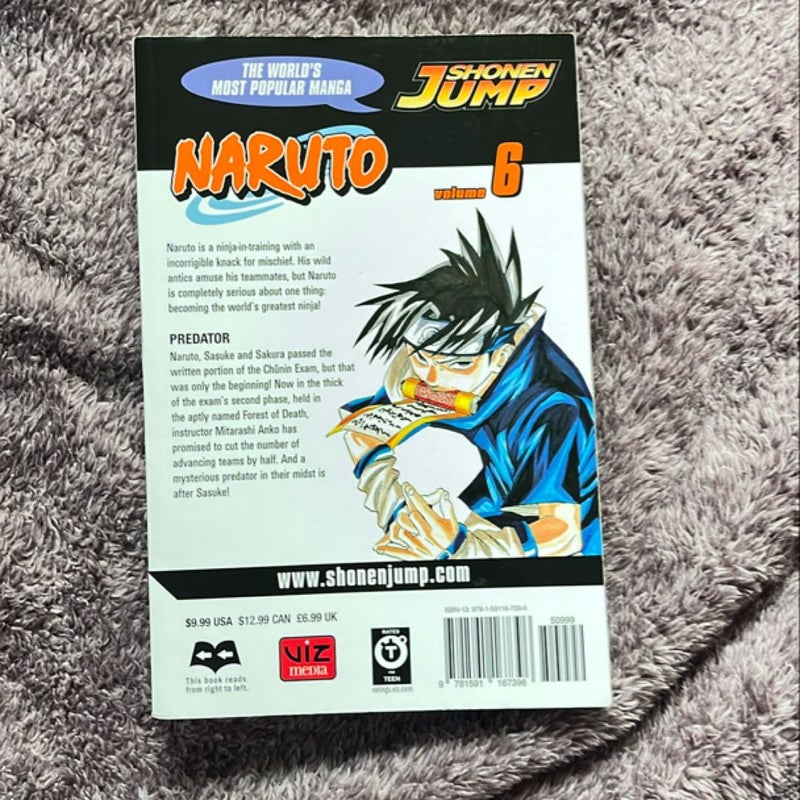 Naruto, Vol. 6