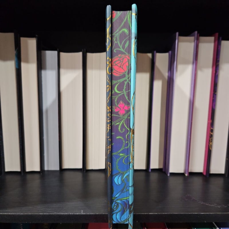 When Stars Come Out (The Bookish Box Exclusive)