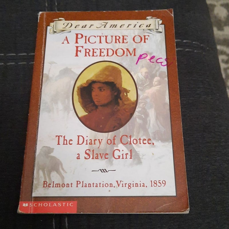 The picture of freedom: the diary of clotee, a slave girl.
