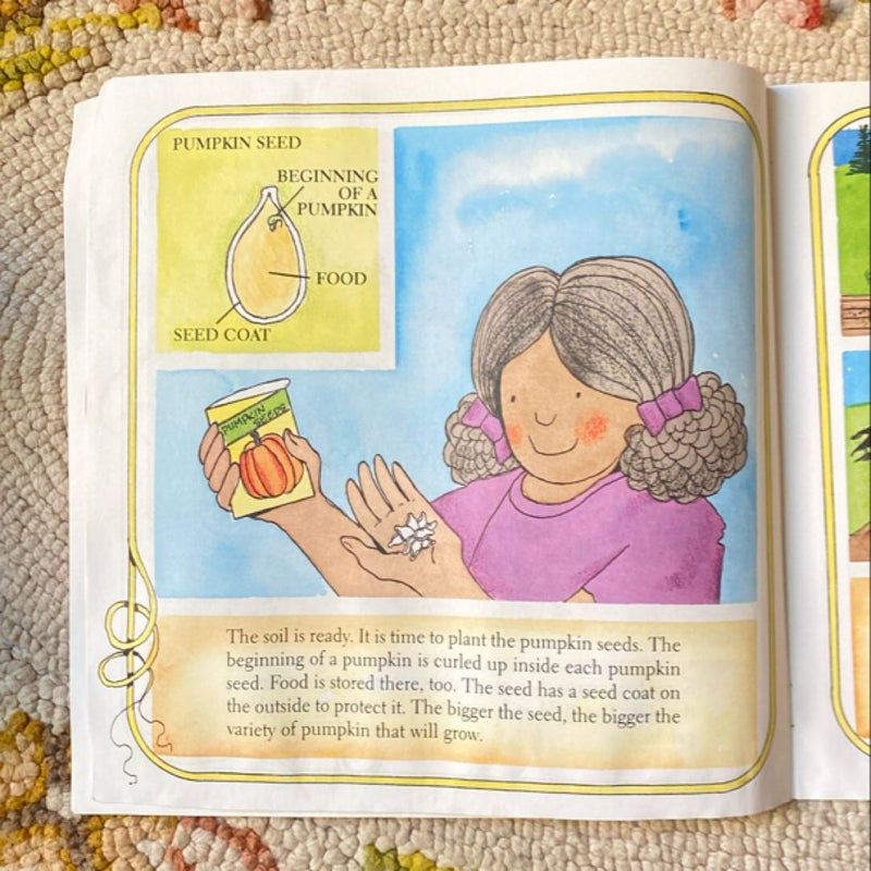 The Pumpkin Book