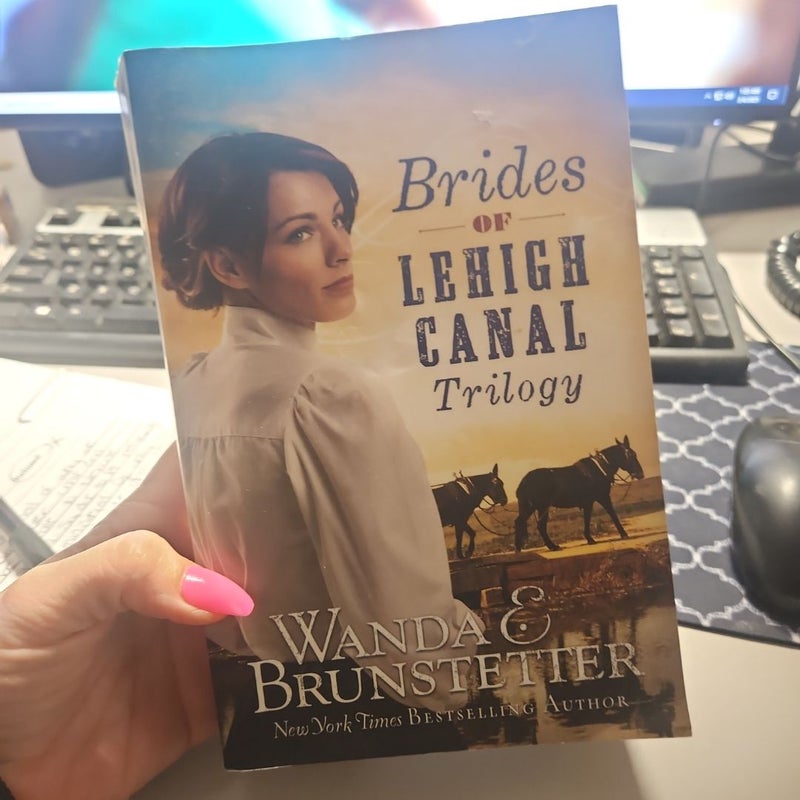 Brides of Lehigh Canal Trilogy