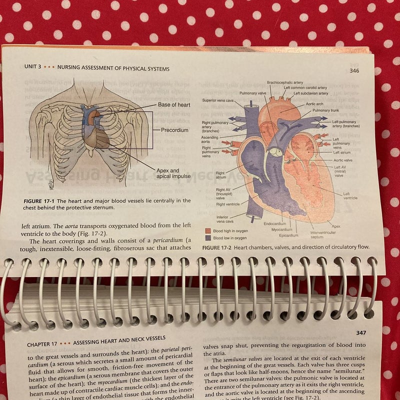 Nurse's Handbook of Health Assessment